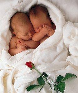 bébés